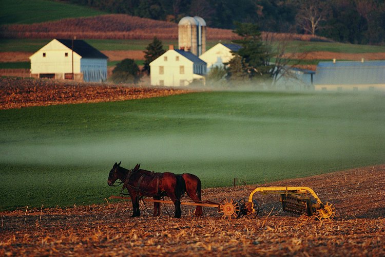 Los sumerios revolucionaron la agricultura inventando el arado.