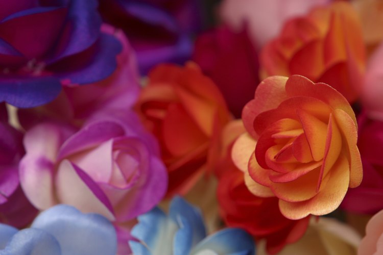 Las rosas naranjas han significado amistad.