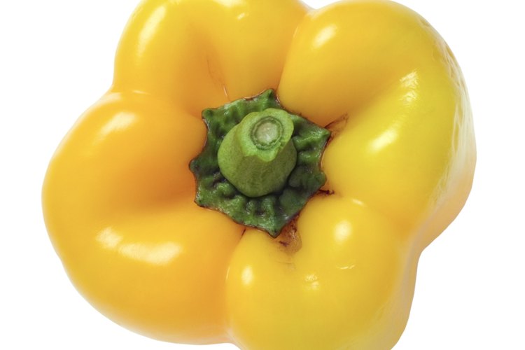 La germinación se produce mejor con temperaturas de la tierra cerca de 80 grados F. (26,67 ºC).