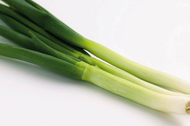 Las cebollas verdes o cebolletas añaden un sabor suave a tu salsa de frijol.