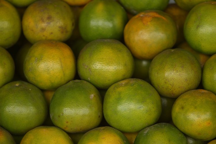 Gran variedad de productos en los mercadillos.