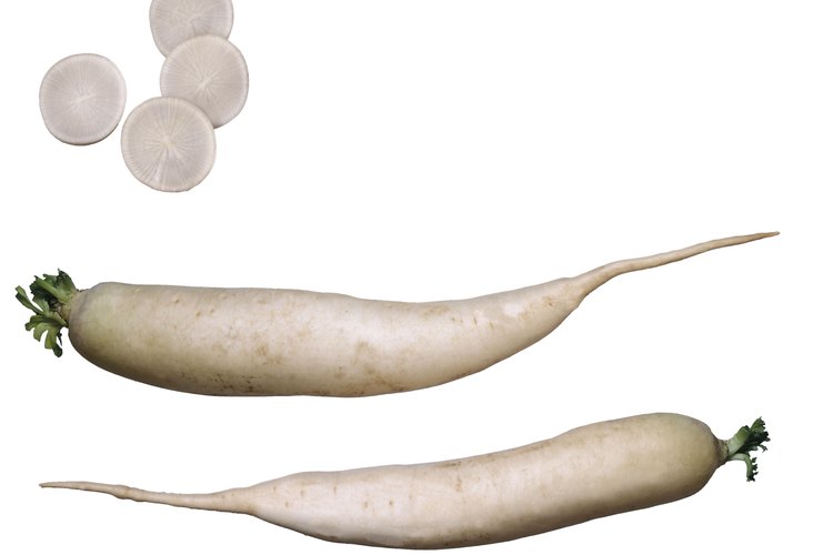 Daikon es un nombre común utilizado para las variedades de rábano chino y japonés.