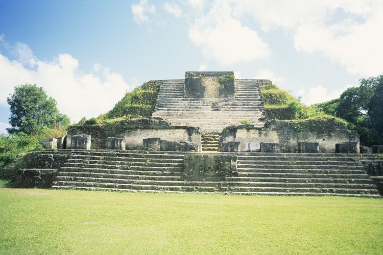 Los mayas desarrollaron un sistema de escritura y un calendario preciso.