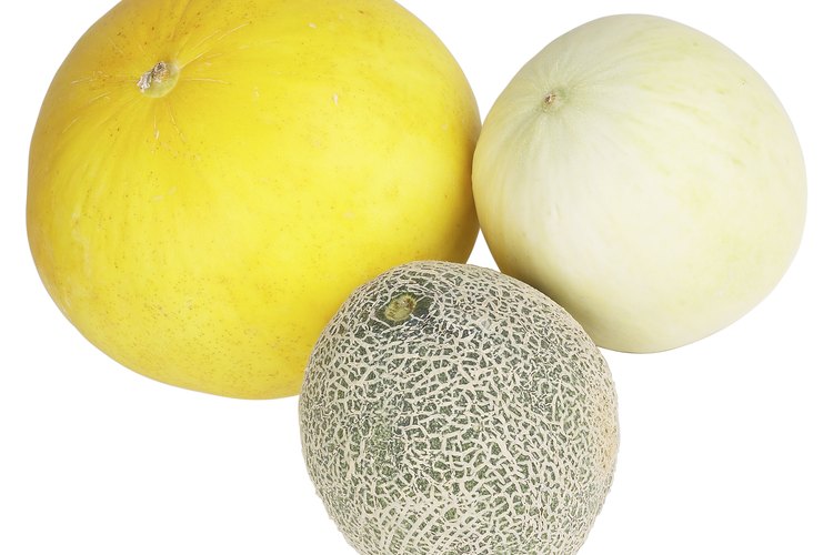 Aunque son mejores fresco, los melones se pueden conservar para consumir más tarde.