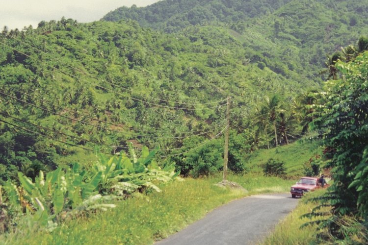 Dominica.