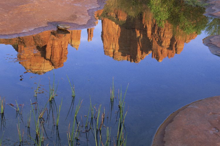 El tranquilo entorno de roca roja de Sedona está a 30 millas de la tierra del esquí.