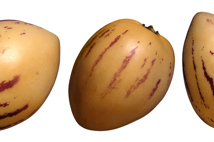 Corta un pepino melón para usar en una ensalada de fruta.