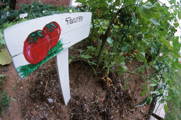 Coloca las estacas o cajas necesarias para el apoyo temprano de la planta en su crecimiento.