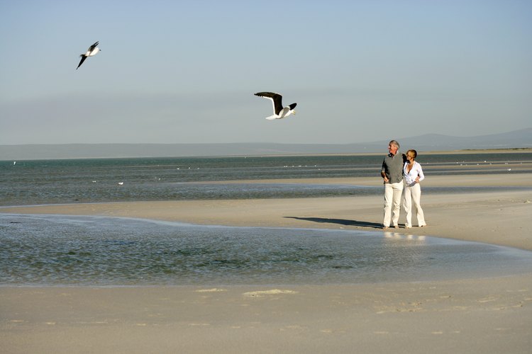Principiantes y expertos observadores de aves han hecho muchas peregrinaciones a la costa del Golfo de Alabama