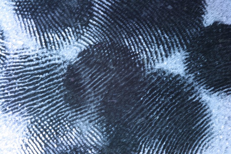 Las huellas digitales se transfieren fácilmente al papel.