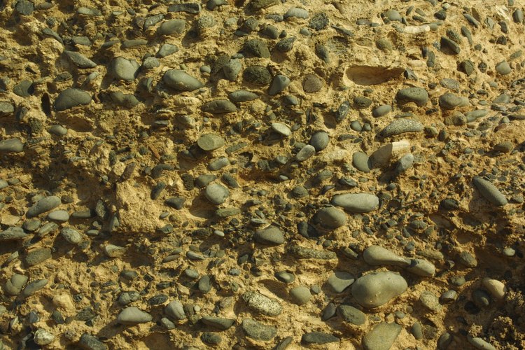 El suelo está compuesto por cinco componentes principales, incluyendo el agua.