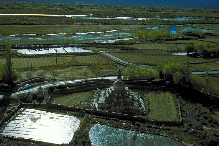 Los biofertilizantes se están adoptando cada vez más en las granjas, sobre todo en las regiones tropicales.