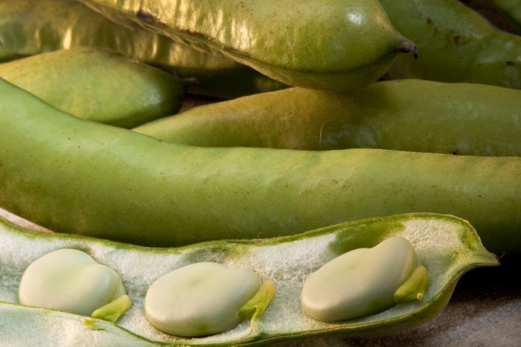Las vainas de guisantes se pueden comer crudas, o suavizar con vapor.