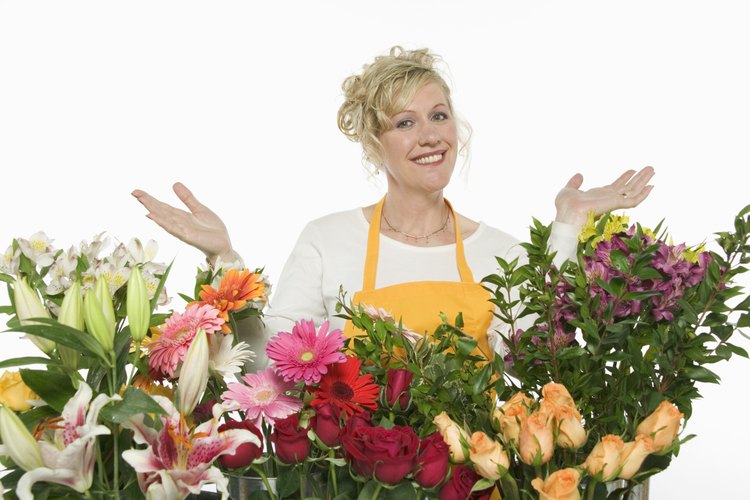 Los festivales y exposiciones de flores en la primavera y verano son buenos lugares para encontrar rosales de alta calidad.