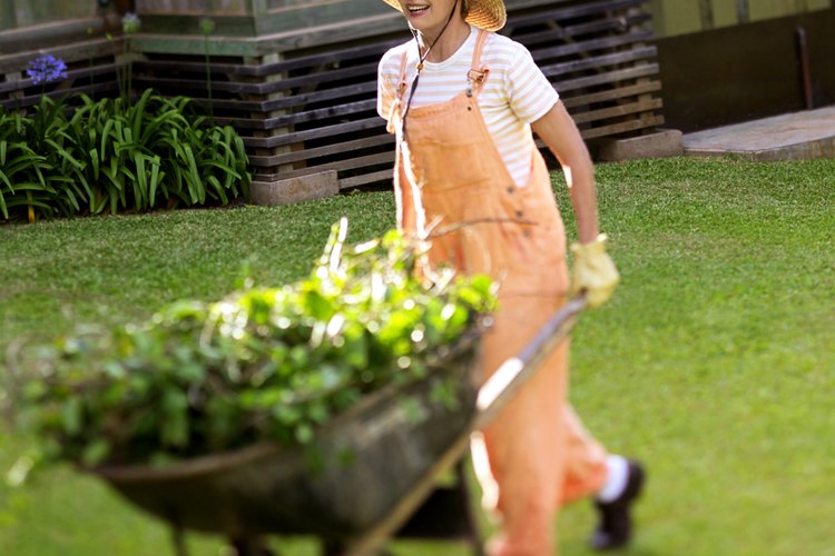 Lleva las herramientas y artículos de jardinería en una carretilla.