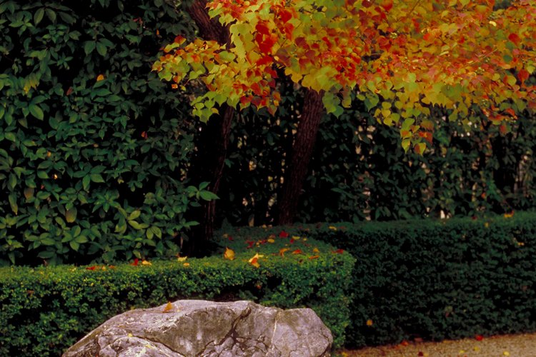 Las rocas de imitación con cemento pueden ser una adición hermosa para tu patio.