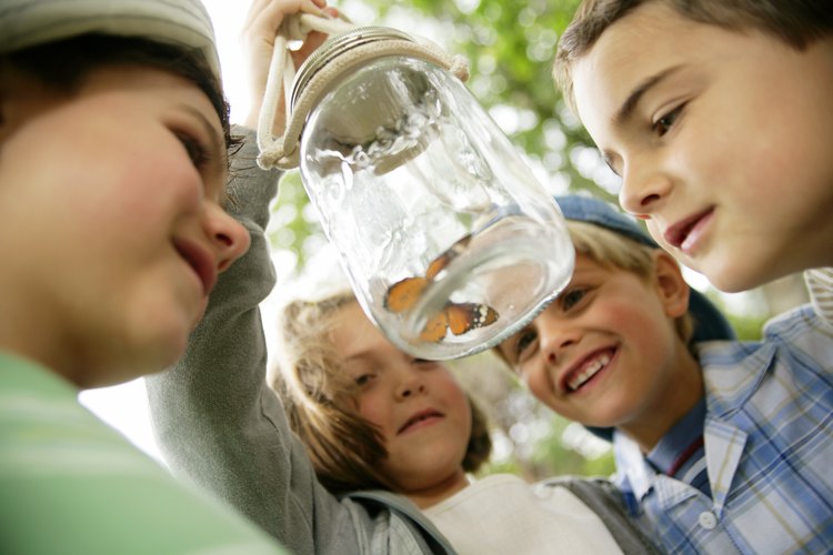 Usualmente buscan niños de todas las edades, estatura, color de piel y origen étnico.
