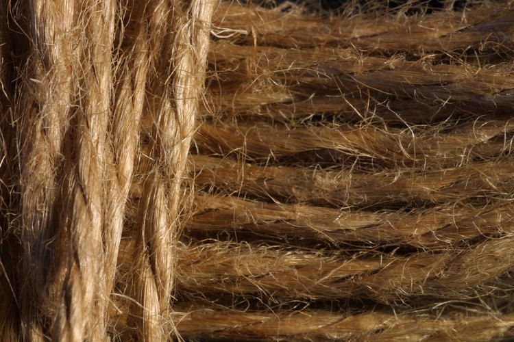 A diferencia de la resina del cáñamo, las fibras de esta planta se pueden usar para una variedad de cosas, desde textiles hasta materiales de construcción.