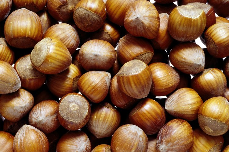 Las avellanas varían en tamaño, forma y sabor.