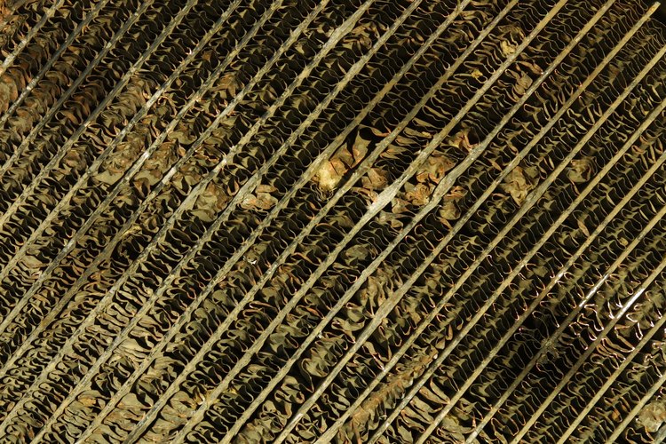 Si percibes un olor a quemado en el interior de la salida del calefactor, deberías diagnosticar el problema inmediatamente.