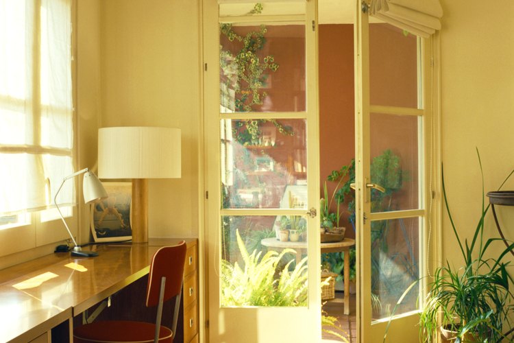 Durante el invierno, ubica la planta al lado de una ventana con orientación este o sur para que reciba al menos 4 horas de luz solar directa.