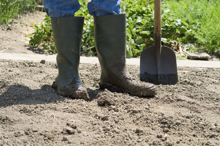 Al plantar en la primavera aprovechas la humedad natural y las temperaturas moderadas.