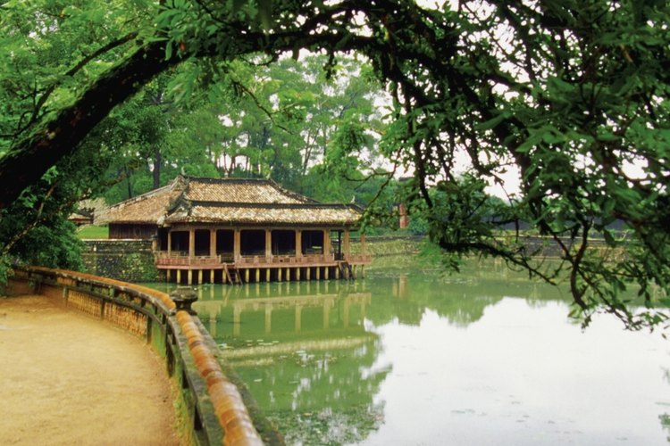 Visita Vietnam para encontrar una esposa.