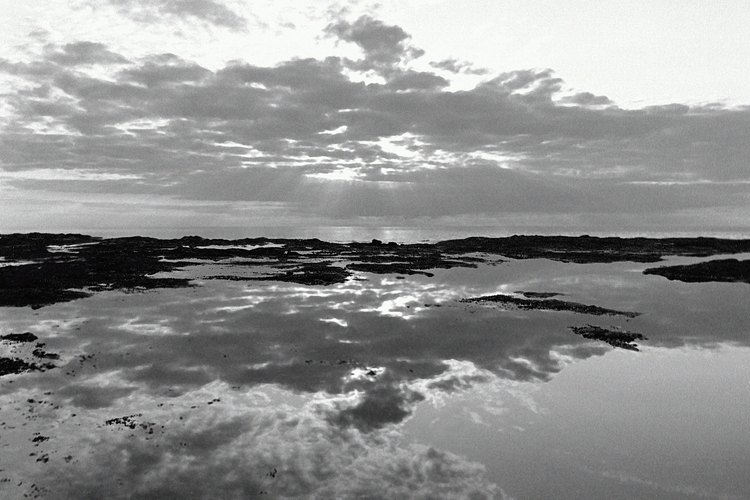 Las fotos de la naturaleza pueden ser consideradas paisajismo.