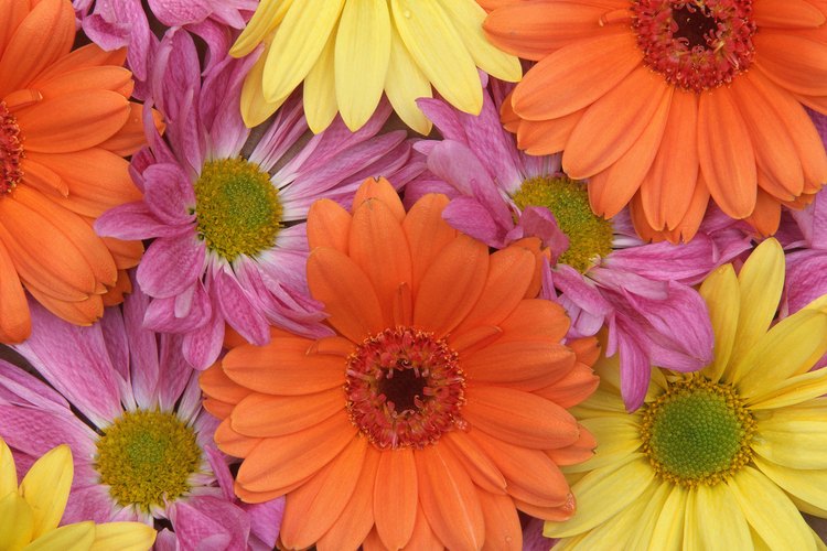 Sumerge en cera algunas flores de tu boda para disfrutarlas un poco más de tiempo.