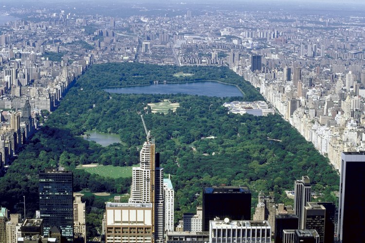 Central Park es un punto destacado en la ciudad de Nueva York.