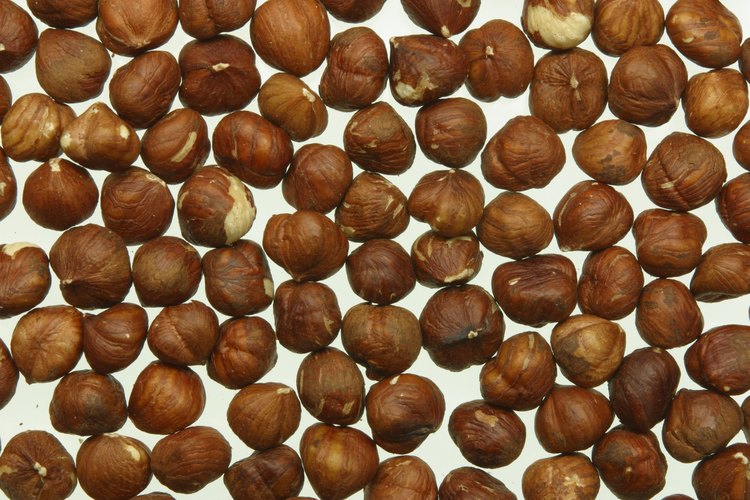 Nueces de macadamia