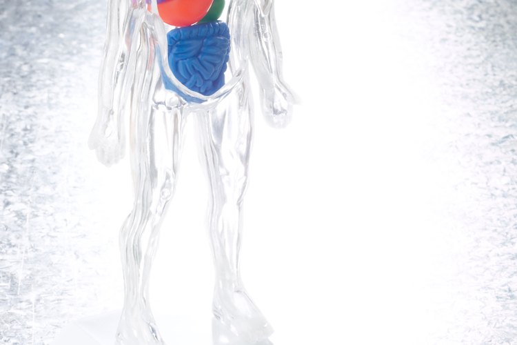 Permite que los niños practiquen la identificación de las partes del cuerpo mediante la creación de un collage.