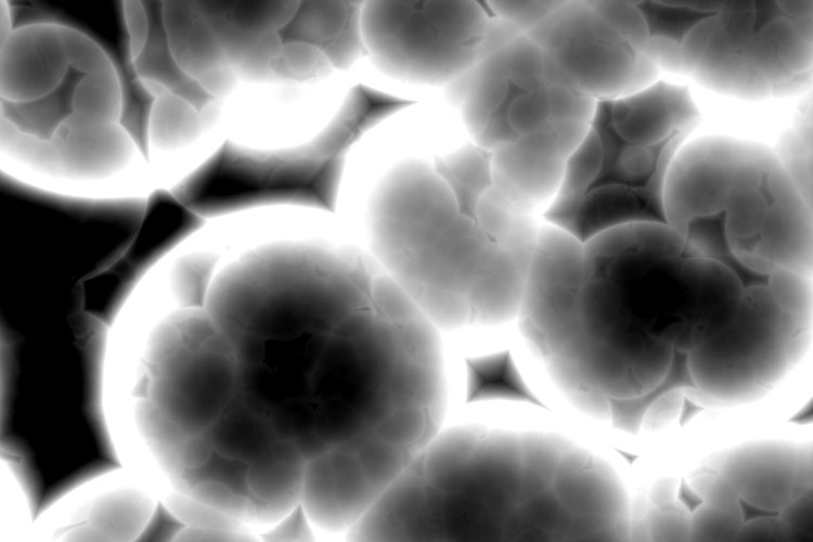 La apoptosis es la muerte celular programada.