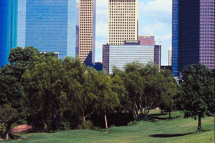Houston ofrece actividades para todos los gustos.