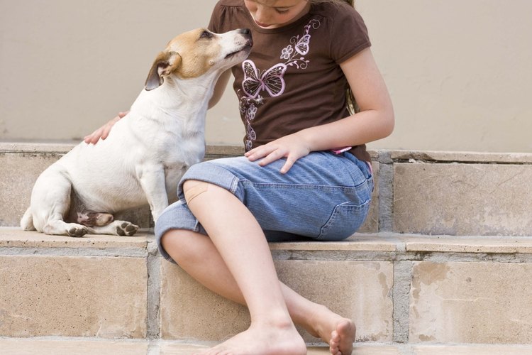 Controla a los perros para evitar que la orina vieja forme acumulaciones.