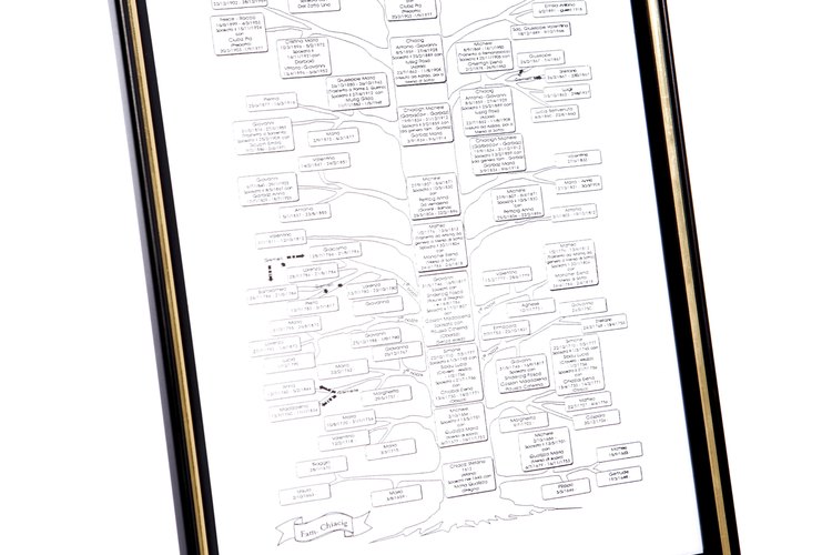 La genealogía es una investigación de tus ancestros.