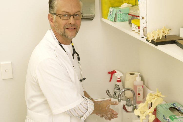 Un técnico de veterinario.