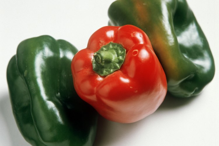 Los pimientos verdes maduran al naranja y luego al rojo cuando están totalmente maduros.
