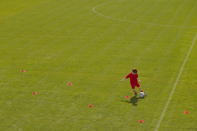 Campo de fútbol