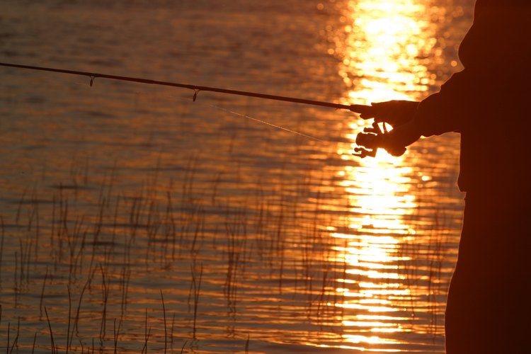 La pesca es uno de los pasatiempos favoritos en Cowan Lake.