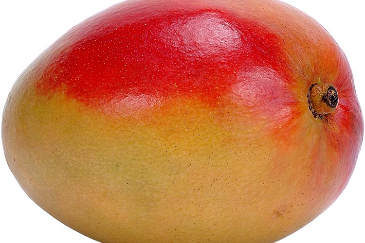 Prueba el mango en palito en el Malecón de Puerto Vallarta.