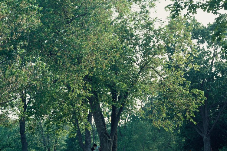 Disfruta al aire libre con tu hijo en una caminata por la naturaleza durante la primavera.