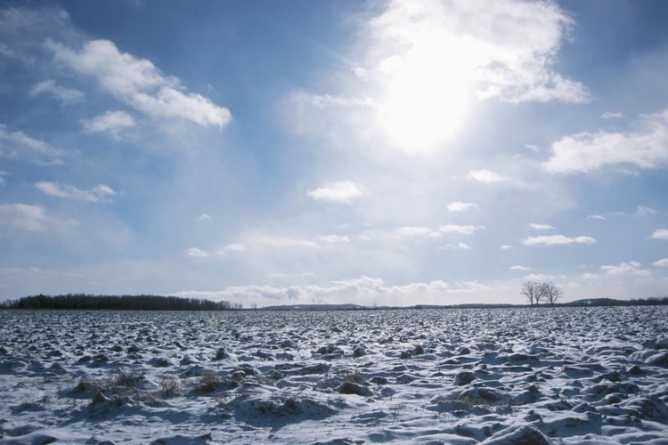 Tundra.