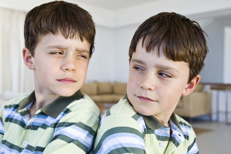 No se puede saber si los gemelos son fraternos o idénticos con sólo verlos.
