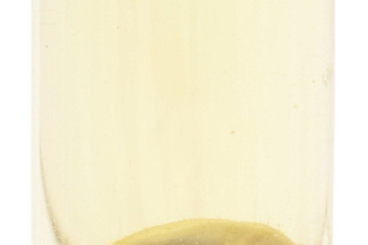 Las larvas son uno de los alimentos preferidos de los topos y se deben eliminar del jardín para reducir la fuente de alimento disponible para estos animales.