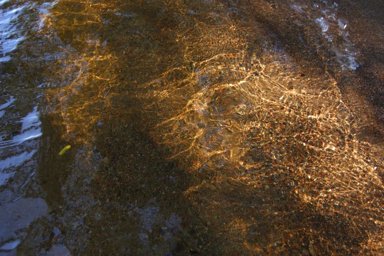 Lecho de río.