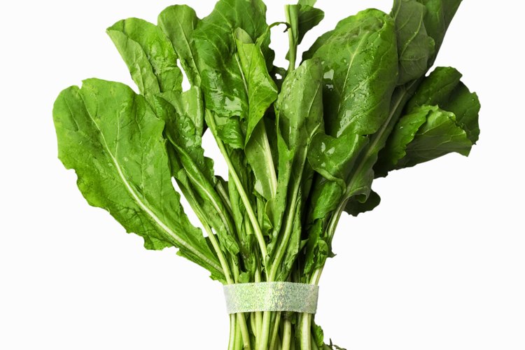Combina la rúcula con otros vegetales de hojas para obtener una ensalada sabrosa.