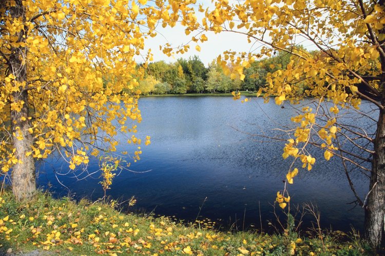 El Twin Lakes State Park también ofrece a sus visitantes el Cedar Crest Conference Center.