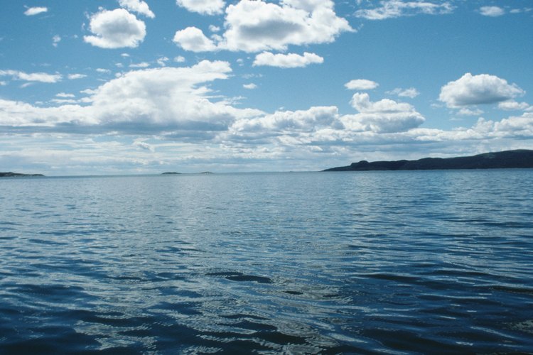 Los oceanógrafos estudian los océanos y las aguas costeras.