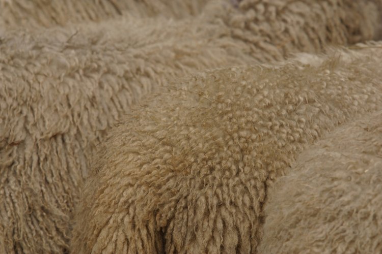 La lana está hecha de la lana de oveja o cabras y que era y es utilizada en la ropa de día, trajes de mañana y el ropa formal de tarde, y en todas las estaciones.